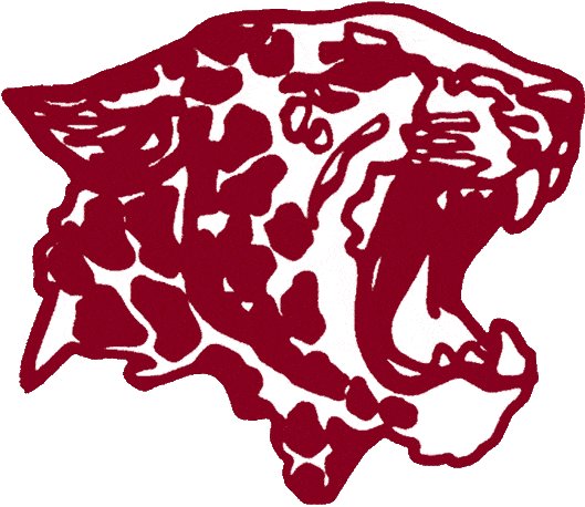 Lafayette Leopards 1986-1999 Primary Logo diy iron on heat transfer